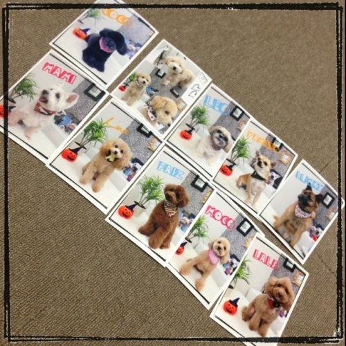 どんどん印刷するぞー！！