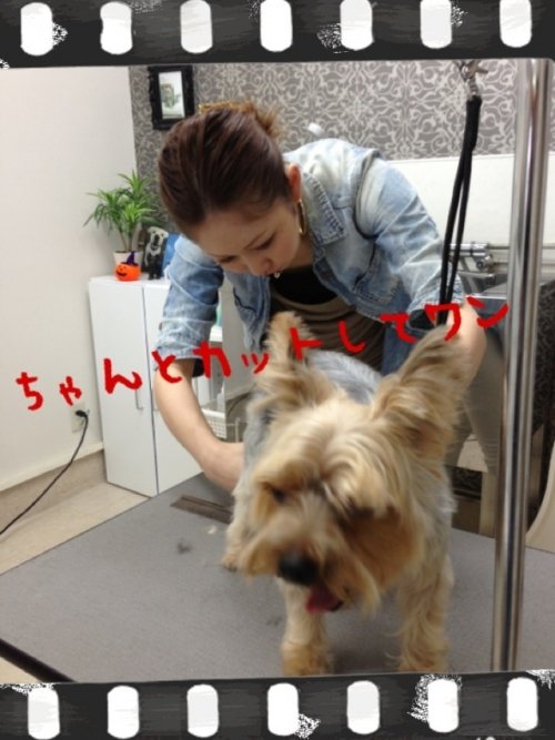 がんばったワン(´ー`)!