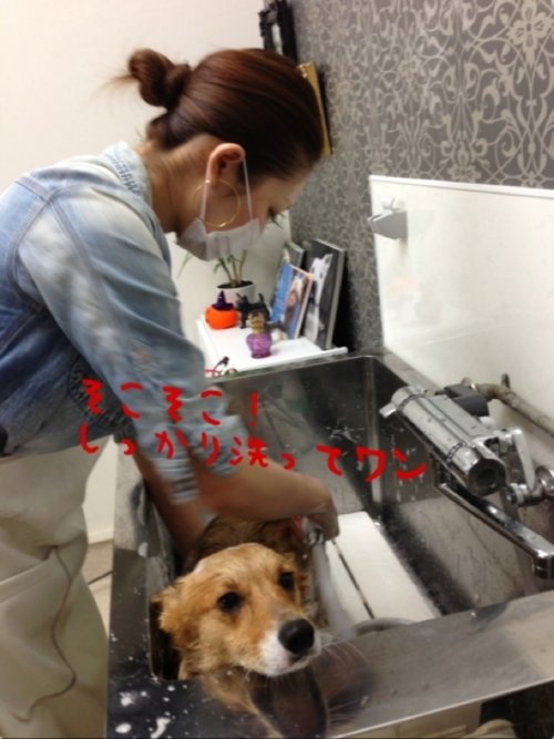 久しぶりだよー(*^_^*)