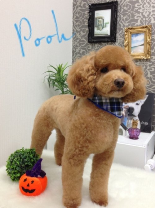 初めまして(*^^*)