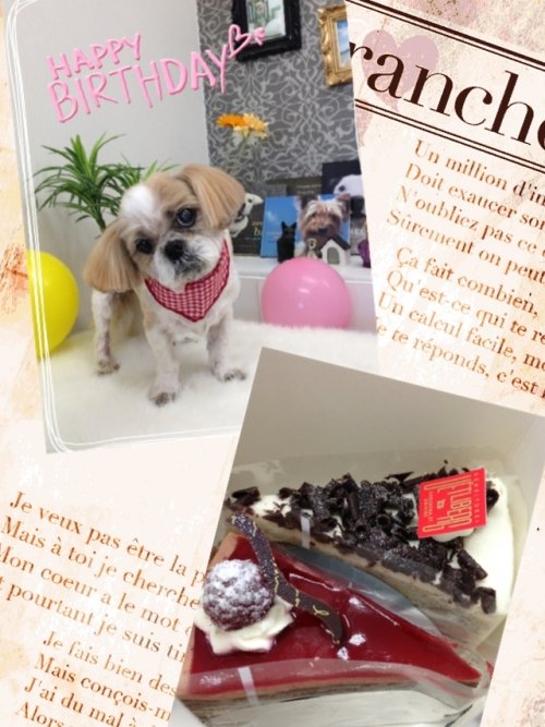 ハッピーバースデーヽ( ´3｀)ノ！！