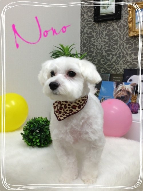 ノノちゃん(^ ^)！