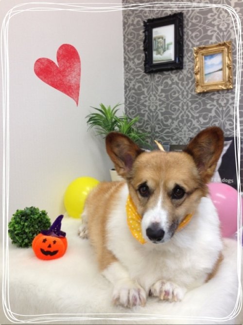 今日も温浴～(*^^*)