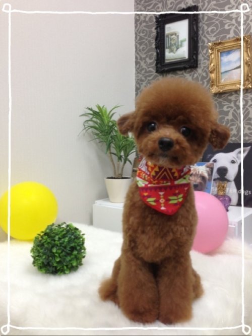 さらんちゃん(^^)