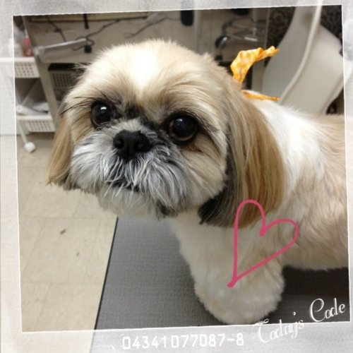 レオくんがやってきた～(^^)