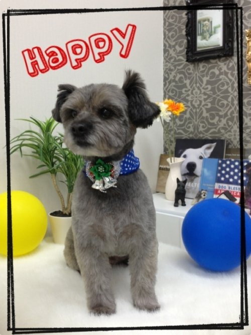 ハッピーくんヽ( ´3｀)ノ