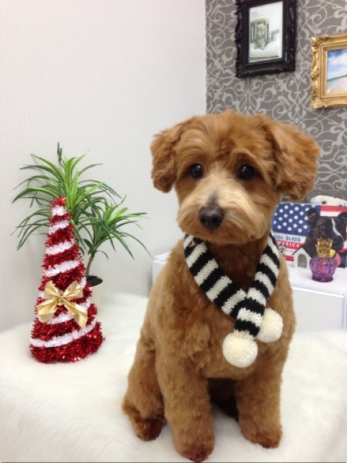 さむーい冬には…(^^)