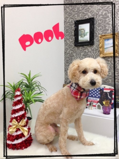 スッキリしたワン(^_^)