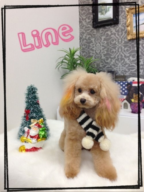 お馴染みのラインくん！！