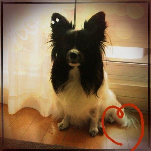 ご予約状況のお知らせ