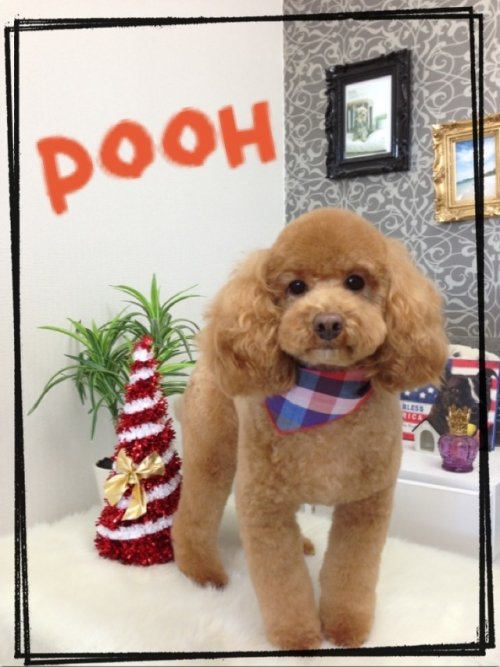 プーちゃん(*^^*)！