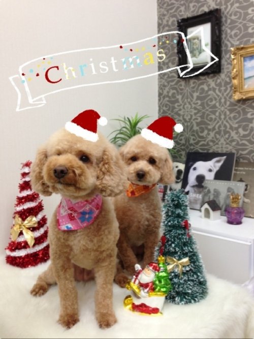 ちょっと早いけど…(^^)