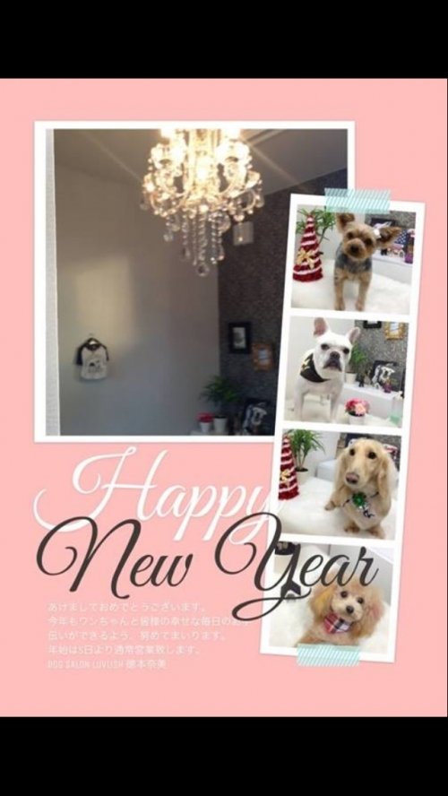 明けましておめでとうございます(^^)！