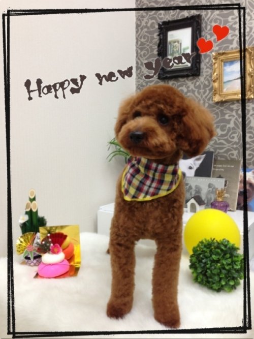 ファイズくん(*^^*)