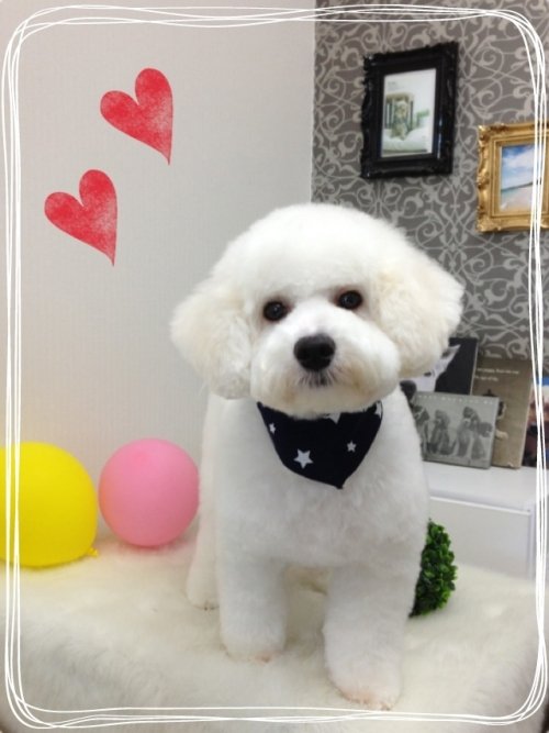 フワッフワ(^^)！！