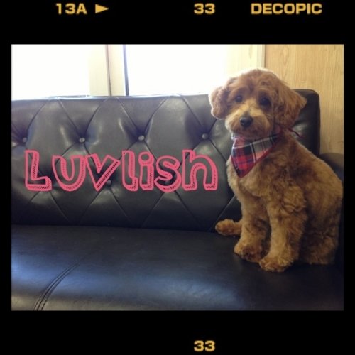 ご予約状況のお知らせ