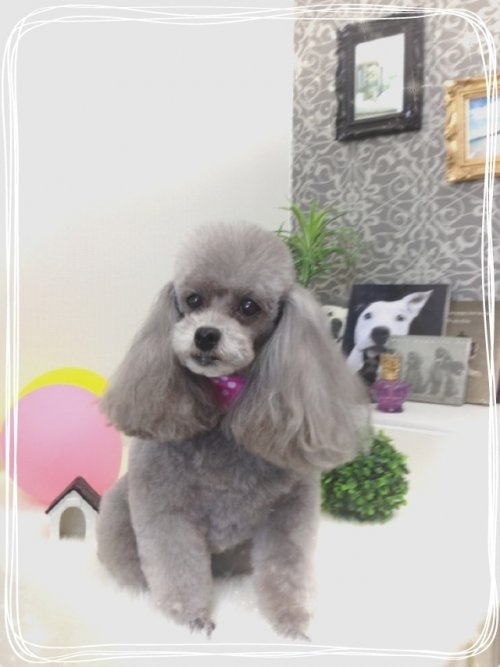 初ラブリッシュのルナちゃん(^^)