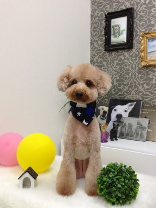 オシャレスタイル(^^)