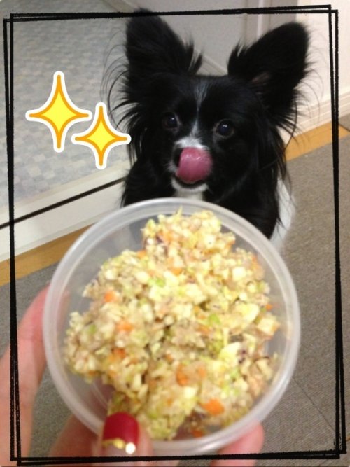 今日のゴハン(*^_^*)