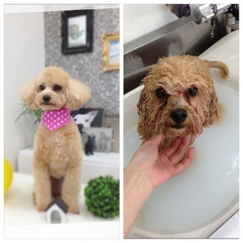 はじめまして(*^^*)