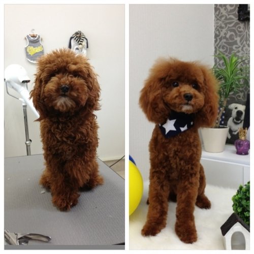 今日もかわいい！！