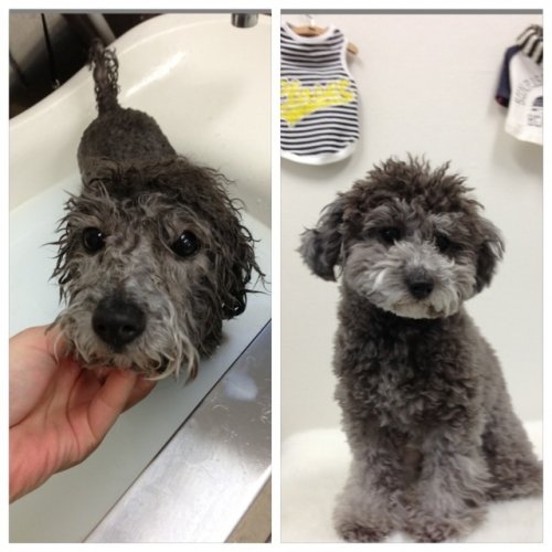 ハッピーバースデー！！！