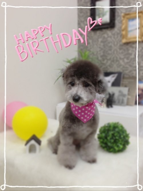 ララちゃんおめでとぉ！！