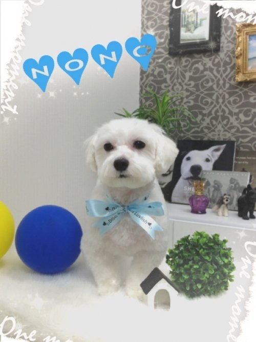 ノノちゃんです(^ ^)