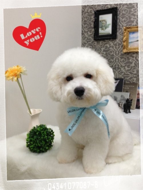 セレブコース(*^^*)