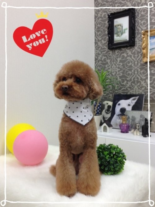 コロンくん(*^^*)