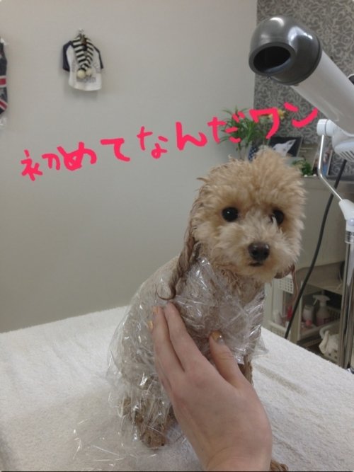 泥パック初体験(*^_^*)