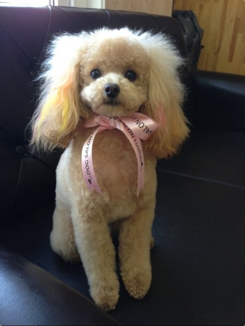 フワフワのラインくん(^^)