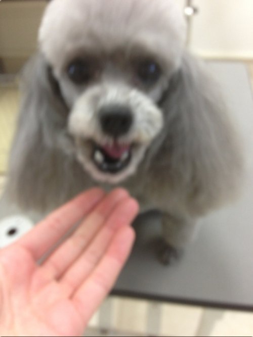 オヤツ持参だよー(^^)