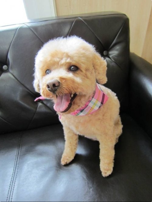 リンちゃん(*^^*)