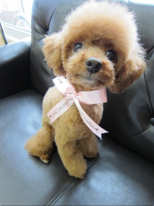 さらんちゃん(^ ^)