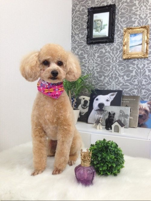 ナッツちゃん(*^_^*)