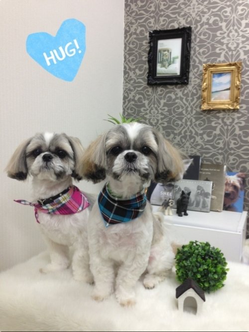 モッチ＆シュシュくん(^_^)！