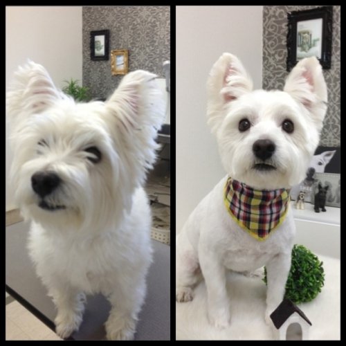 るいちゃん(*^_^*)