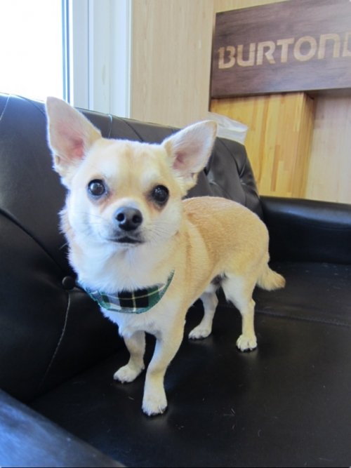 ヤマトくん(*^^*)