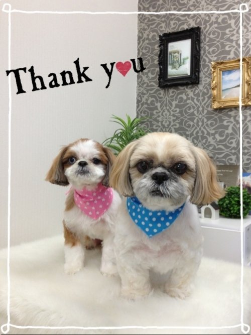 レオくんモコちゃん(^^)!!