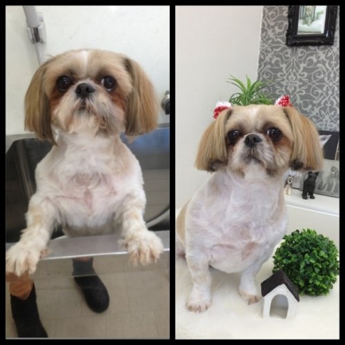 チャコちゃん(^^)