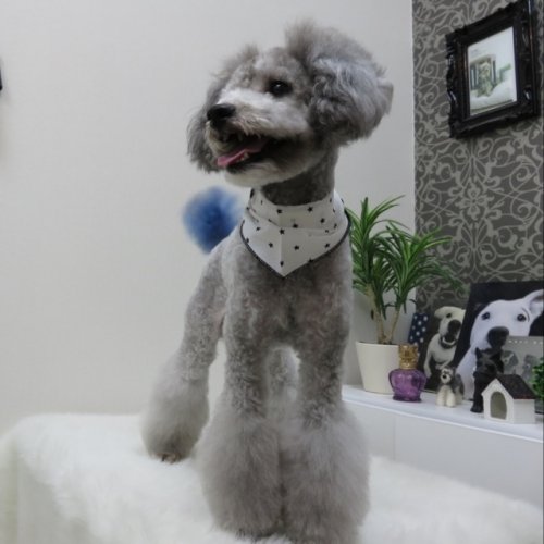 春ですよぉー(*^^*)