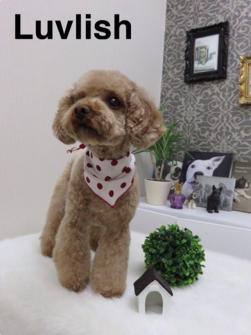 はじめまして～(*^^*)