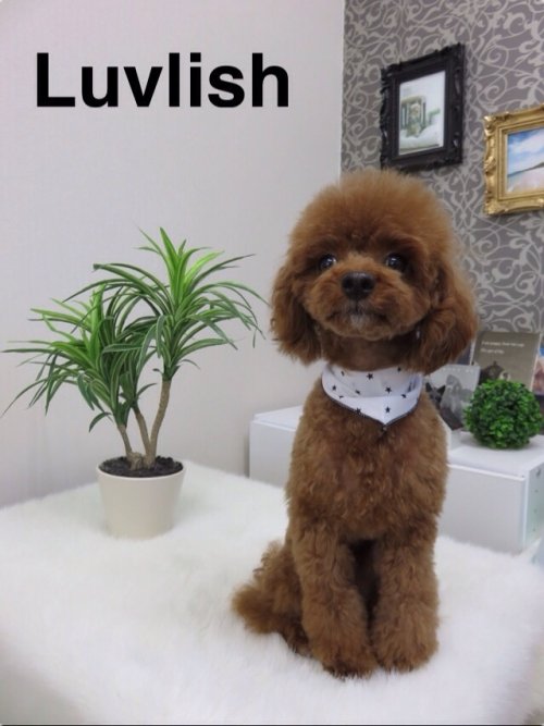 さらんちゃんいらっしゃ～い(^^)/