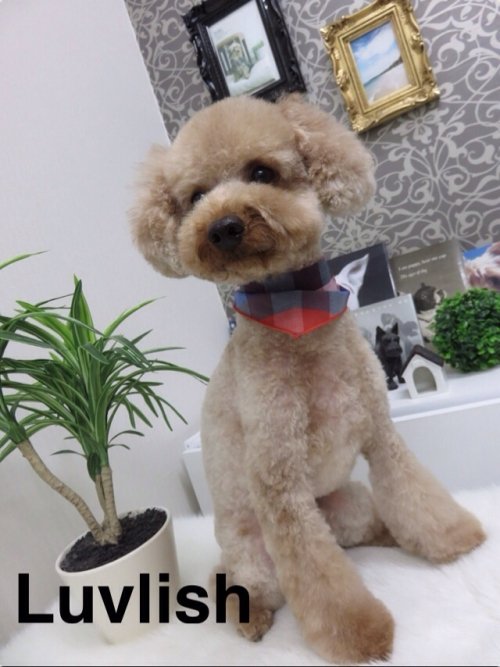 モカちゃん(*^^*)