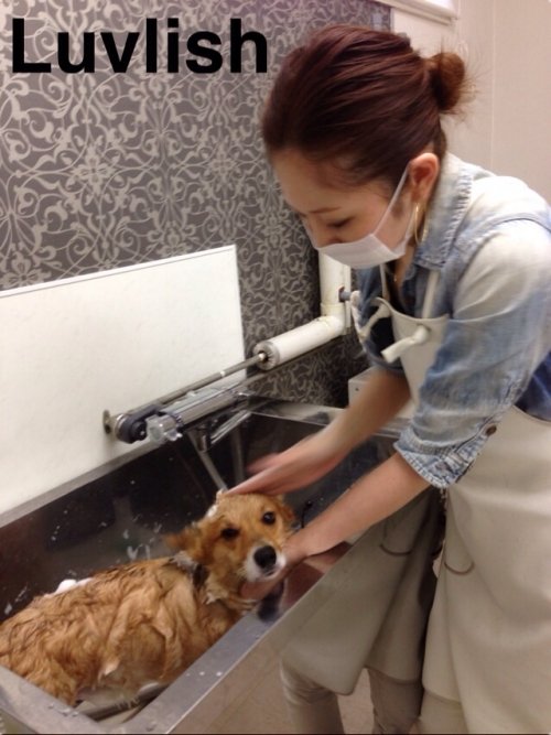 お知らせ(^^)！！