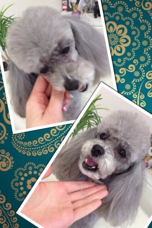 おやつが大好き(^^)