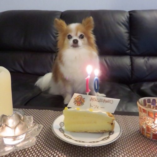 ハッピーバースデー(^o^)！！