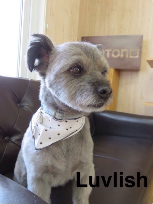 お久しぶりです(^^)