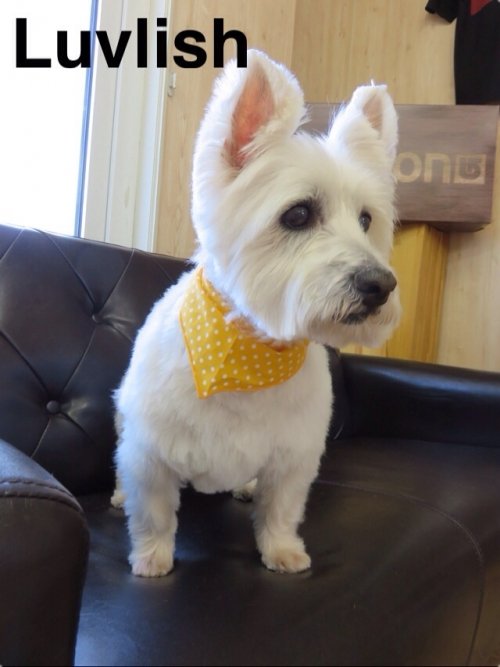 マミちゃんでーす(^ ^)